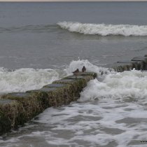 20141014_155721_img_1381_andre_dxo