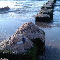 20141017_162702_imag0313_kerstin