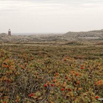 20141018_141839_img_1427_andre_dxo