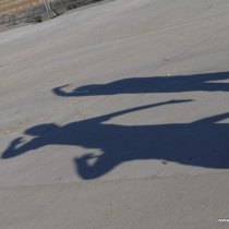 20141017 Ki-Karate auf Sylt