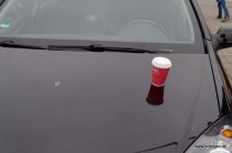 20151021_171539_dsc_5728_dxo