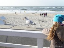 20151023_160139_img_1795_dxo