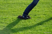 20151023_164108_dsc_5750_dxo