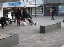 20151025_153131_img_1815_dxo