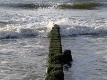 20151026_162542_img_1838_dxo