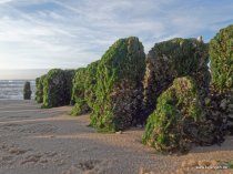 20151026_163357_img_1844_dxo