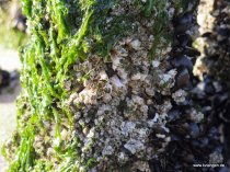 20151026_163436_img_1846_dxo