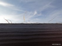 20151026_164431_img_1852_dxo