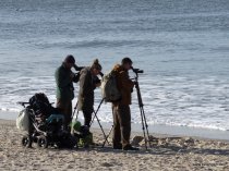 20151027_122358_img_1885_dxo