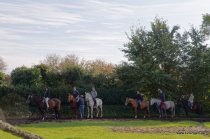 20151027_135542_dsc_5989_dxo