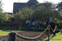 20151027_135923_dsc_5999_dxo