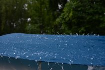 20160527_081120_andre_dsc_2243