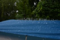 20160527_081122_andre_dsc_2248