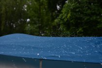 20160527_081122_andre_dsc_2250