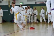 20160528_114119_andre_dsc_2387