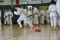 20160528_114121_andre_dsc_2391