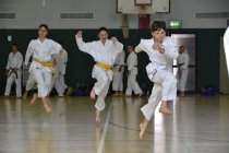 20160528_114823_andre_dsc_2429