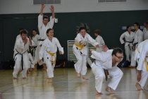 20160528_121527_andre_dsc_2498