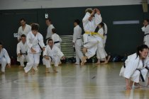 20160528_121605_andre_dsc_2507