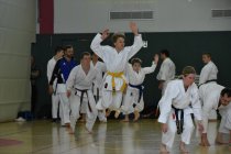 20160528_121609_andre_dsc_2509