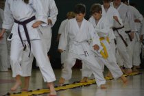 20160528_122703_andre_dsc_2518