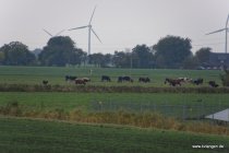 20161023_160544_dsc_2992_dxo_andre