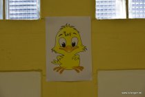 20161024_111354_dsc_3011_andre