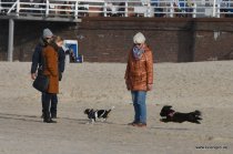 20161024_145335_dsc_3107_andre