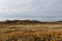 20161026_144312_img_9640_daniel