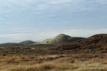 20161026_144406_img_9646_daniel