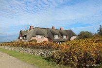 20161026_144426_img_9651_daniel