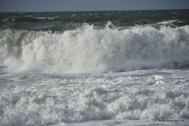 20161028_144211_dsc_3556_andre