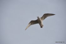 20161028_145509_dsc_3593_andre