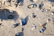 20161029_145455_dsc_1955_chrissy