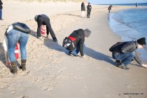 20161029_145617_dsc_1960_chrissy