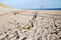 20161029_150326_dsc_1965_chrissy