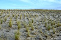 20161029_151816_dsc_3595_andre