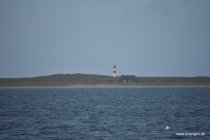 20161029_152011_dsc_3599_andre