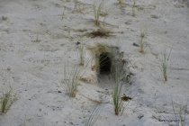 20161029_152254_dsc_3600_andre