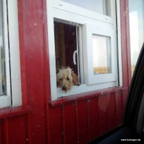 20161029_153753_img_mandy