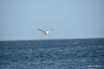 20161029_155637_dsc_3617_andre