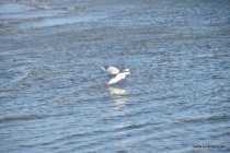 20161029_155640_dsc_3618_andre