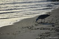 20161029_164919_dsc_3730_andre