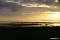 20161030_085626_dsc_3764_andre