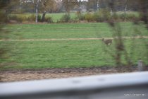 20161030_131953_dsc_3801_andre