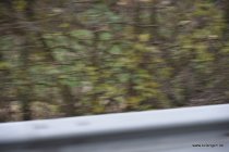 20161030_131954_dsc_3802_andre