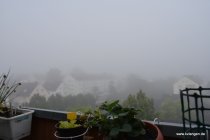 20170610_071453_dsc_5679