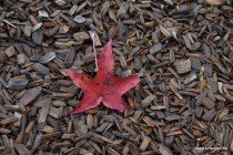 20191019 - Lehrgang mit Detlef Herbst in Langen