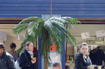 20150314_122930_dsc_4667_dxo