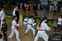 20190309_134752_dsc_2236